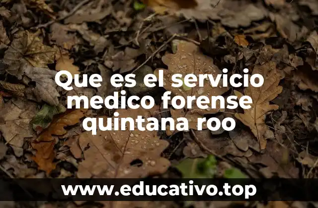 Que es el servicio medico forense quintana roo