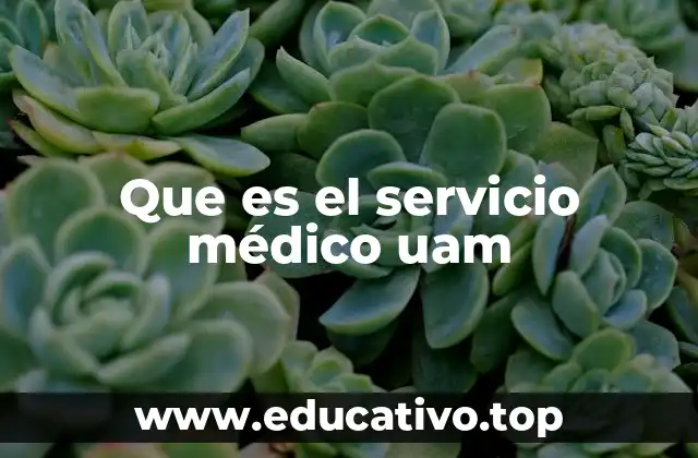 Que es el servicio médico uam