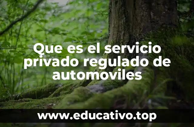 Que es el servicio privado regulado de automoviles