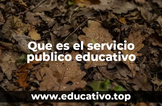 Que es el servicio publico educativo