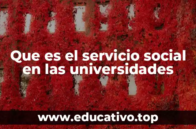 Que es el servicio social en las universidades
