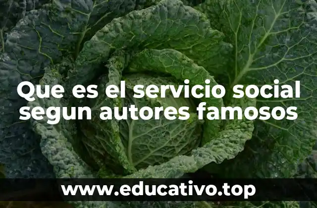 Que es el servicio social segun autores famosos