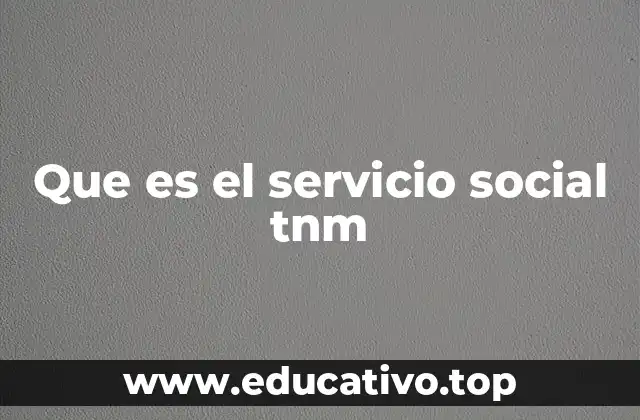 Que es el servicio social tnm