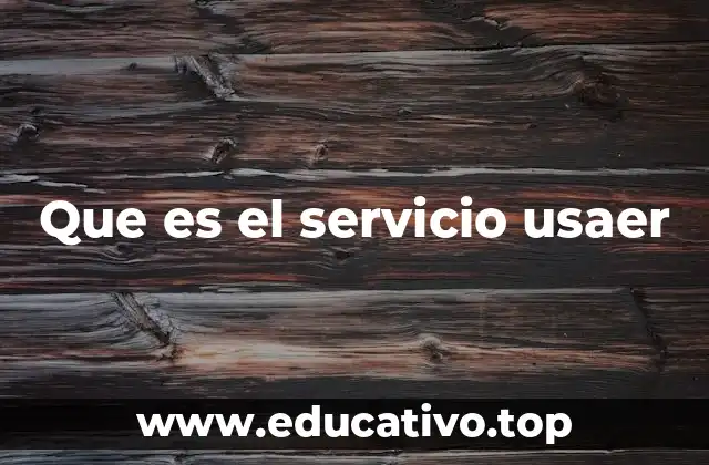 Que es el servicio usaer