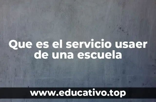 Que es el servicio usaer de una escuela