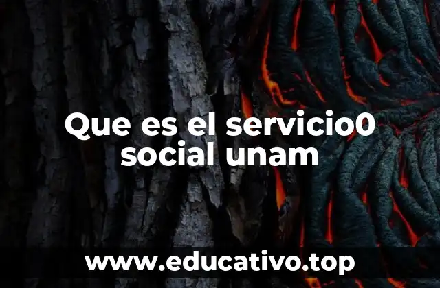 Que es el servicio0 social unam