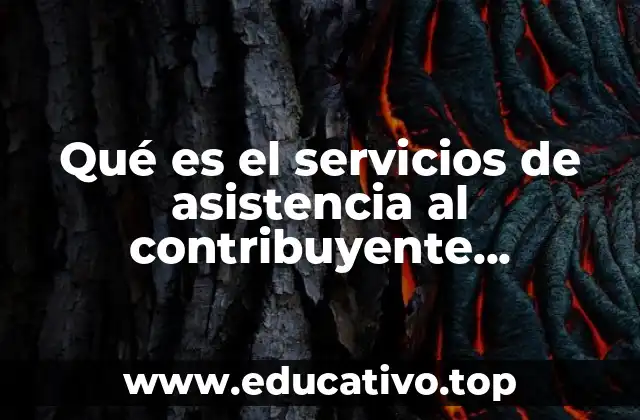 Qué es el servicios de asistencia al contribuyente administración local