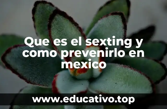 Que es el sexting y como prevenirlo en mexico