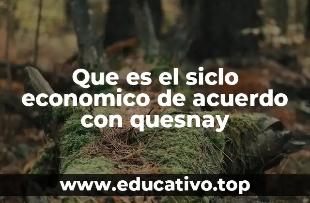 Que es el siclo economico de acuerdo con quesnay