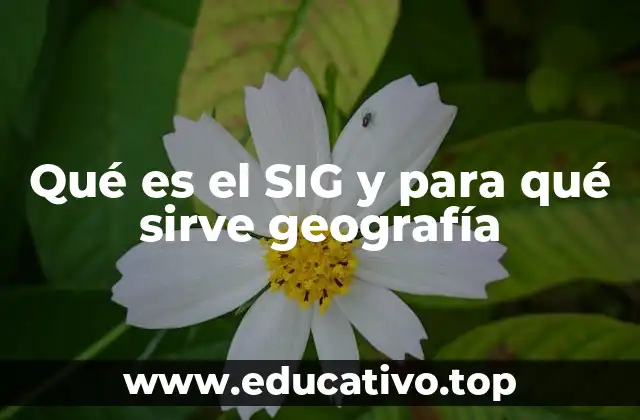 Qué es el SIG y para qué sirve geografía