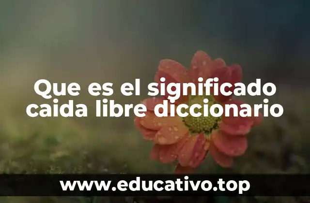Que es el significado caida libre diccionario