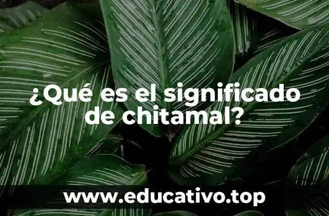 ¿Qué es el significado de chitamal?