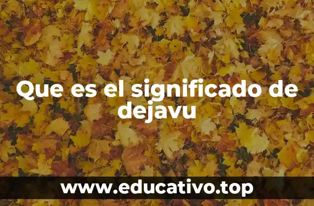 Que es el significado de dejavu