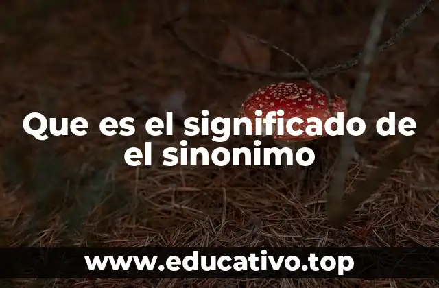 Que es el significado de el sinonimo