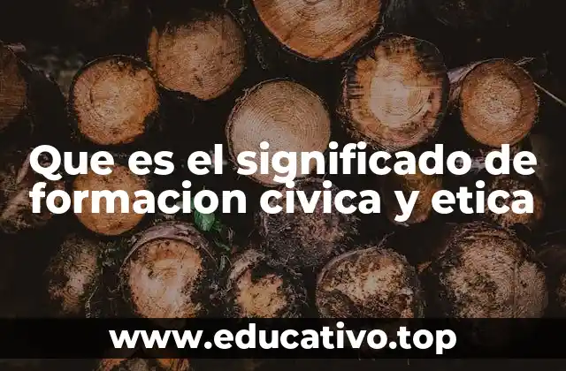 Que es el significado de formacion civica y etica