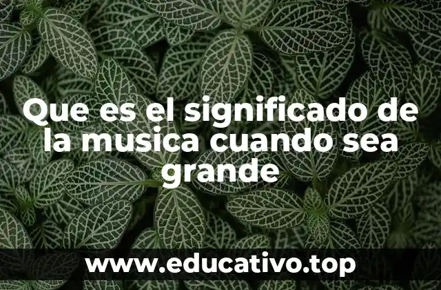 Que es el significado de la musica cuando sea grande