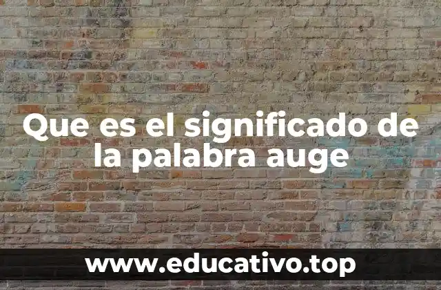 Que es el significado de la palabra auge