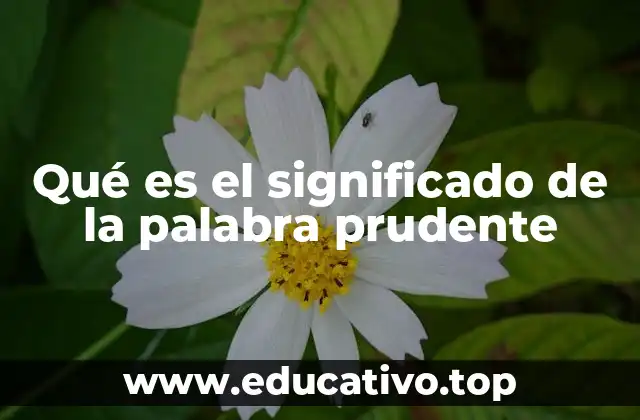 Qué es el significado de la palabra prudente
