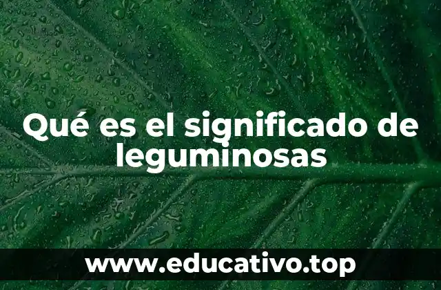 Qué es el significado de leguminosas