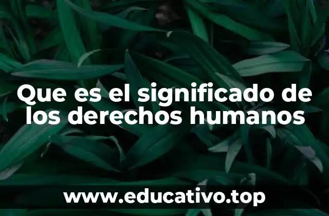 Que es el significado de los derechos humanos
