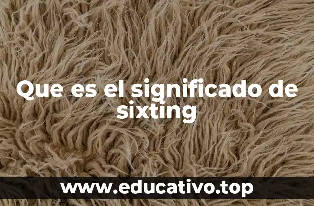 Que es el significado de sixting