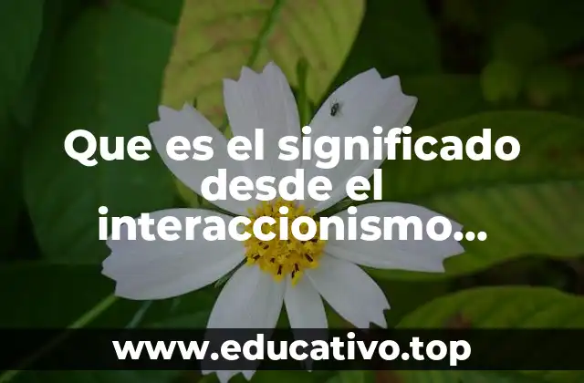 Que es el significado desde el interaccionismo simbolico