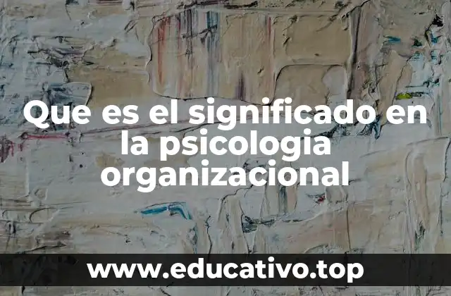 Que es el significado en la psicologia organizacional