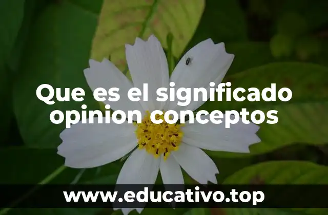 Que es el significado opinion conceptos
