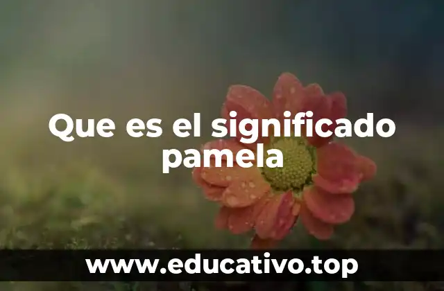 Que es el significado pamela