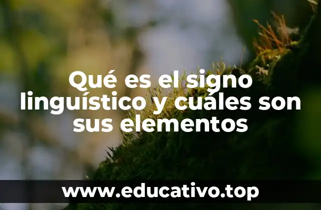 Qué es el signo linguístico y cuáles son sus elementos