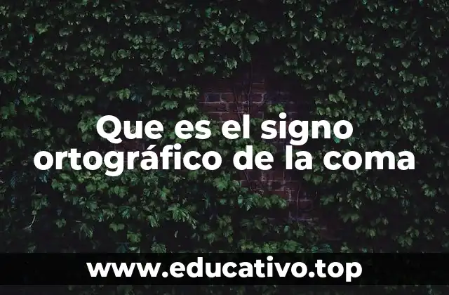 Que es el signo ortográfico de la coma