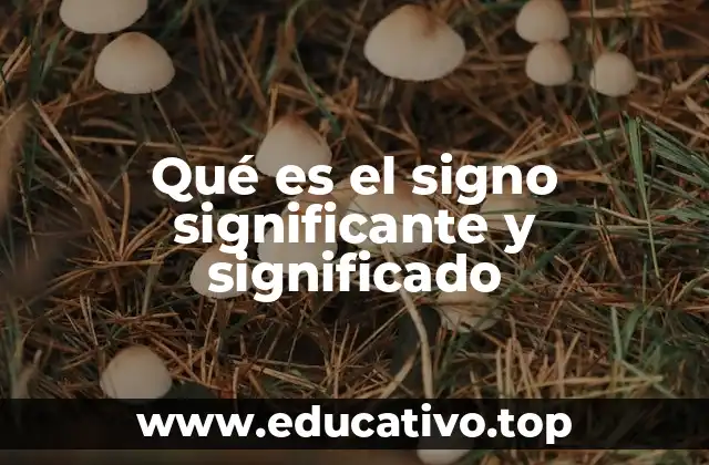 Qué es el signo significante y significado