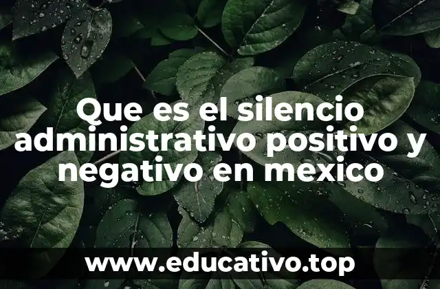 Que es el silencio administrativo positivo y negativo en mexico