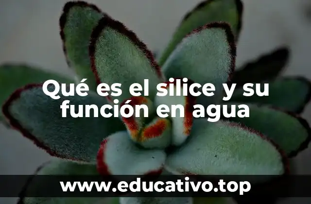 Qué es el silice y su función en agua