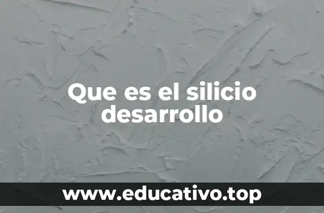 Que es el silicio desarrollo