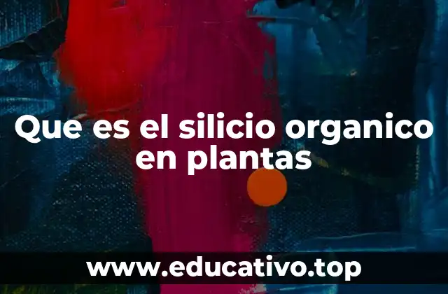 Que es el silicio organico en plantas
