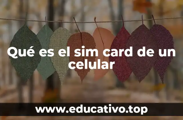 Qué es el sim card de un celular