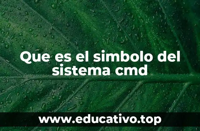La importancia del símbolo de sistema en el entorno Windows