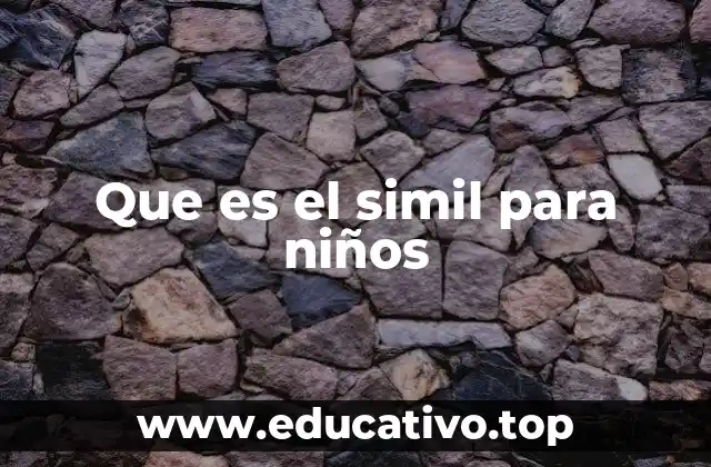 Que es el simil para niños