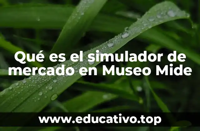 Cómo el Museo Mide utiliza la simulación para enseñar conceptos económicos