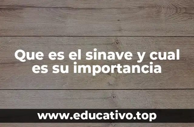 Que es el sinave y cual es su importancia