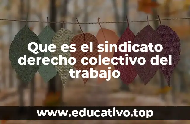 Que es el sindicato derecho colectivo del trabajo