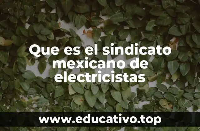 Que es el sindicato mexicano de electricistas