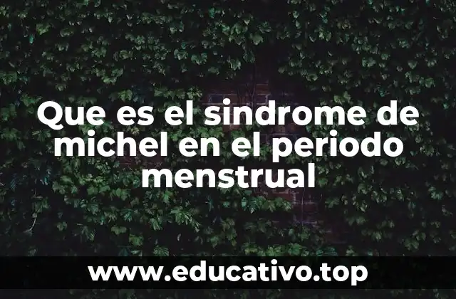 Que es el sindrome de michel en el periodo menstrual