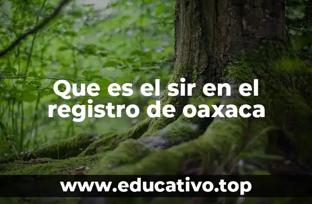 Que es el sir en el registro de oaxaca