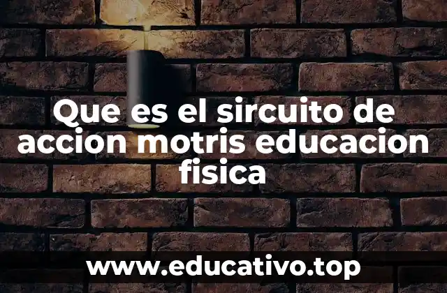 Que es el sircuito de accion motris educacion fisica
