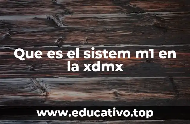 Que es el sistem m1 en la xdmx