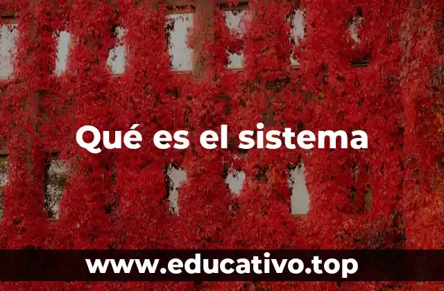 Qué es el sistema