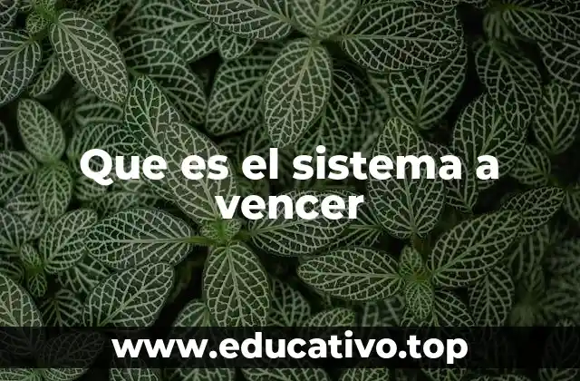 Que es el sistema a vencer