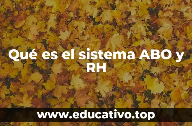 Qué es el sistema ABO y RH